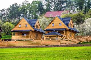 Фото Дома для отпуска Domki pod Kuźnią г. Falsztyn